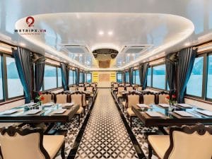 lan ha xanh cruise 3