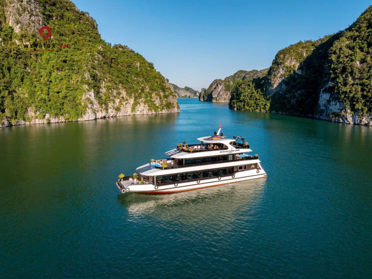 Cat Ba Cruises: Complete Guide to Day & Overnight Cruises 2026 2 cat ba eco tourist 99 5 sao 15