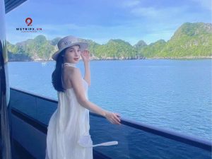 cat ba eco tourist 99 5 sao 33