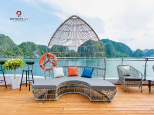 dcharme premium cruise cat ba 2