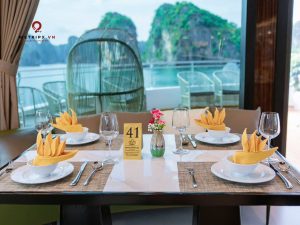 dcharme premium cruise cat ba 4
