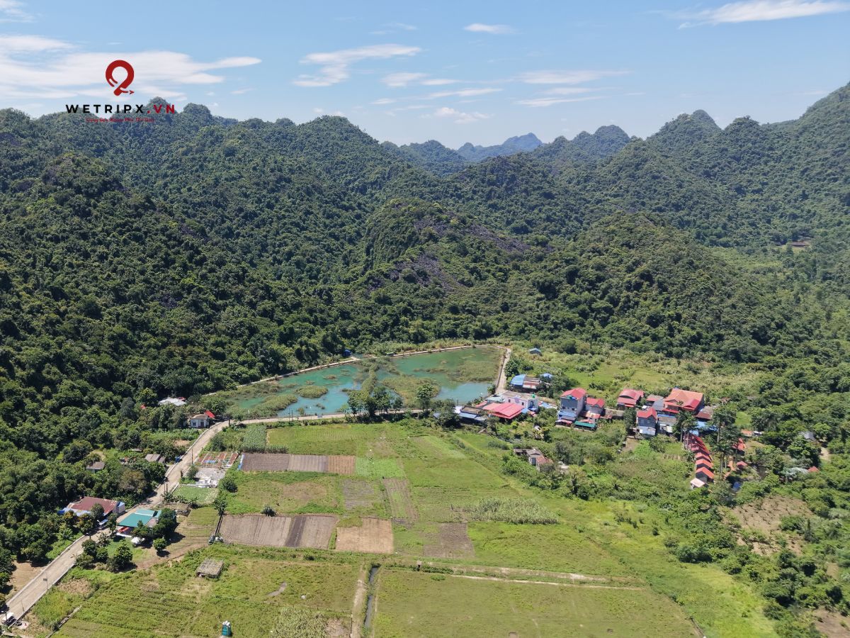Cat Ba Cruises: Complete Guide to Day & Overnight Cruises 2026 7 lang viet hai