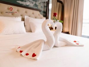 sunshine golden cruise cat ba 5