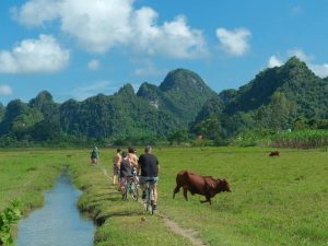 viet hai village 1